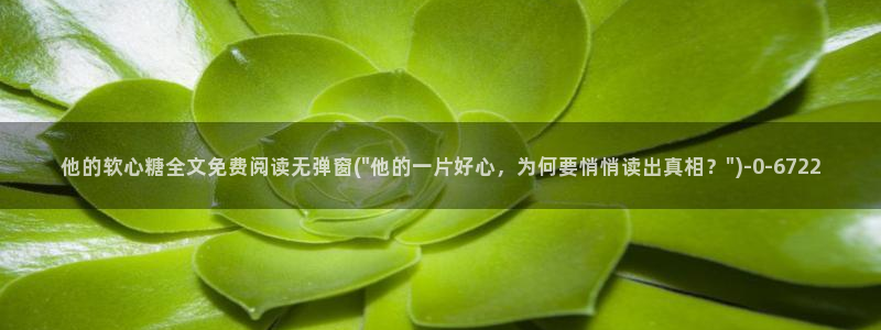 糖心vogo：他的软心糖全文免费阅读无弹窗(\