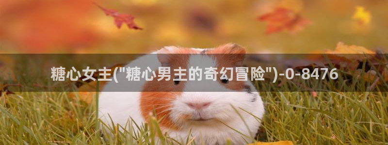 糖心8大家：糖心女主(\