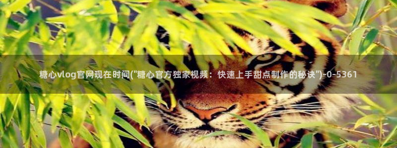 糖心 官网