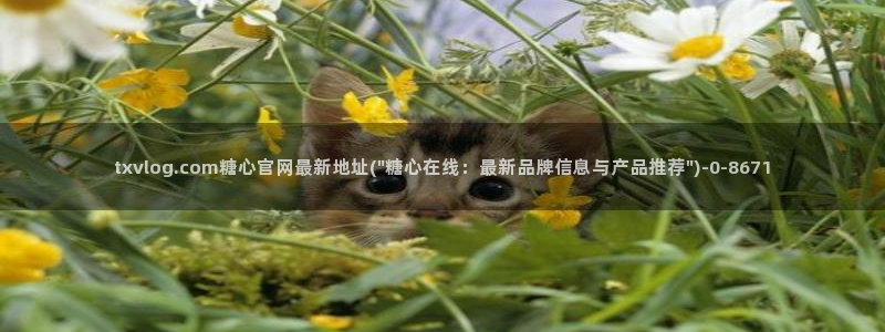糖心vlgo艺人