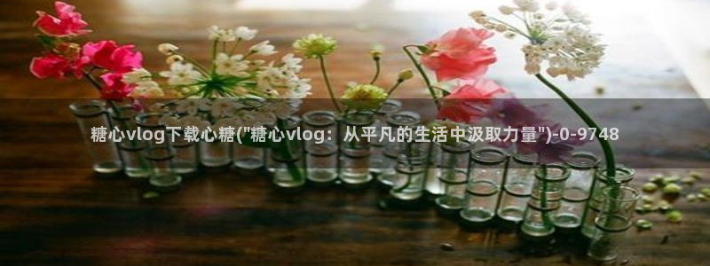 糖心普通版