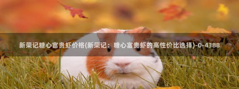 糖心vlgo视频