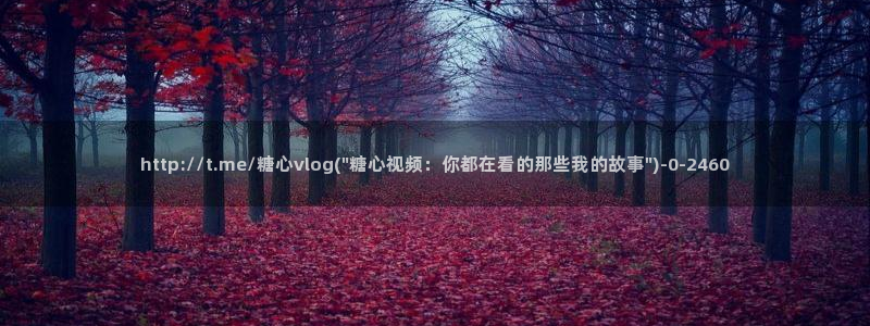糖心.c：http://t.me/糖心vlog(\