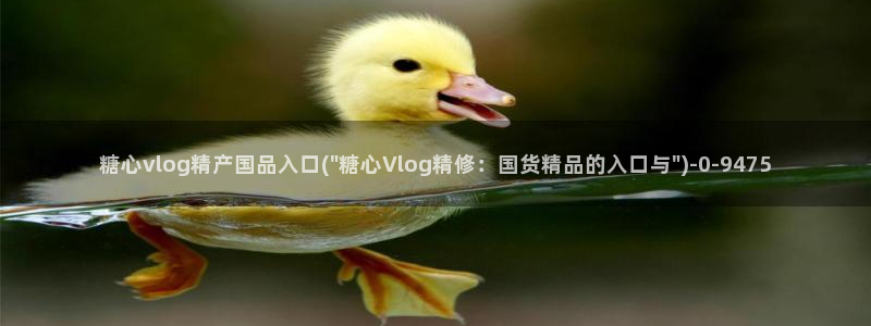 糖心vling：糖心vlog精产国品入口(\