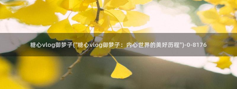 糖心vlgo丨VK：糖心vlog御梦子(\