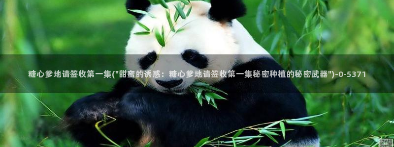 www.糖心